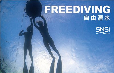 小琉球三天兩夜FD自由潛水員取照班